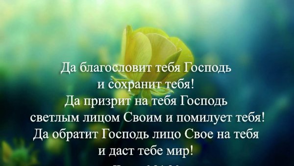 Бог благословит тебя