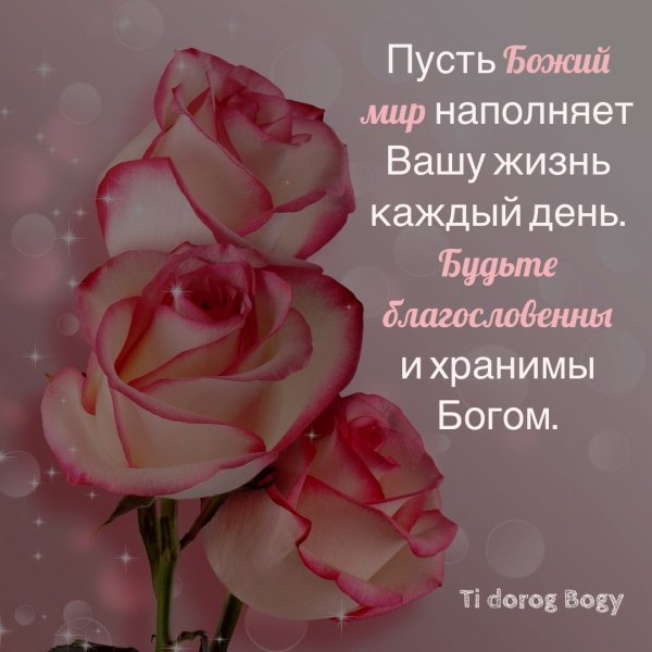 Господи благослови