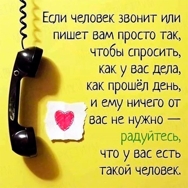 Цитаты про собак смешные