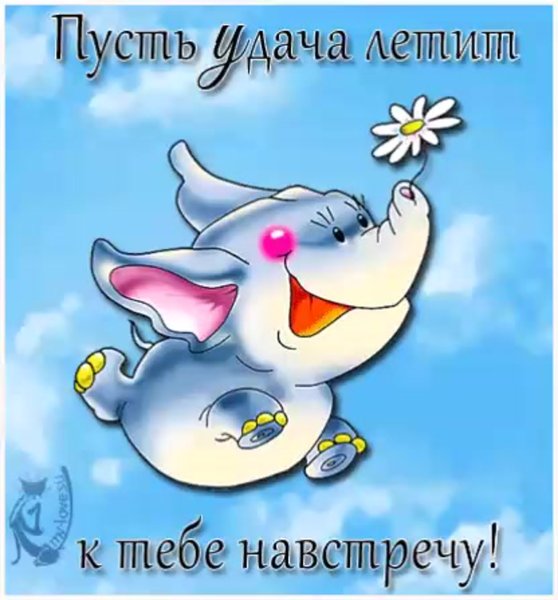 Пожелания удачи прикольные