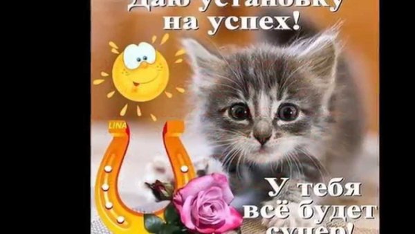 Пожелания удачи и успеха