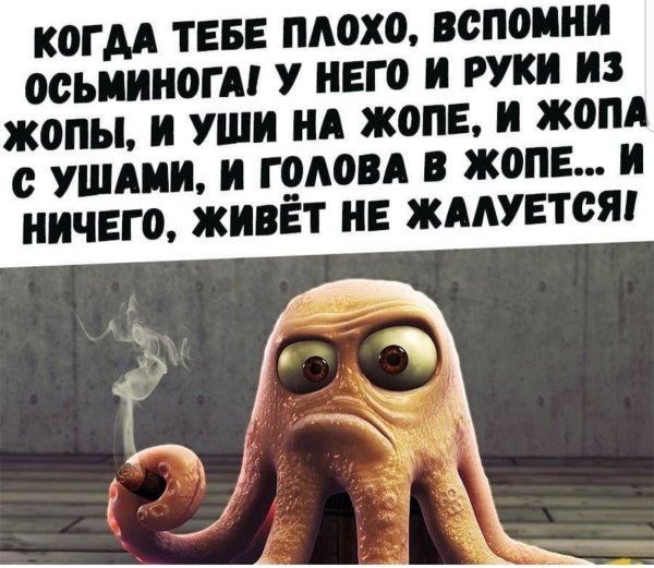 Анекдот про осьминога