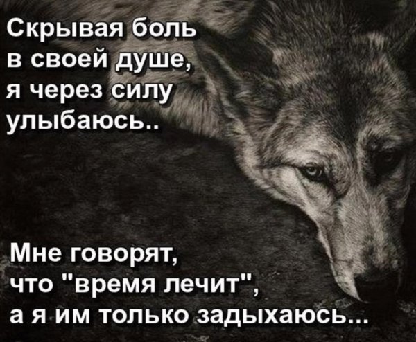 Высказывания о боли в душе