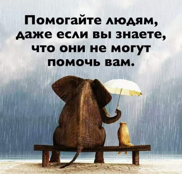 Помогайте людям даже если знаете что они не могут помочь вам