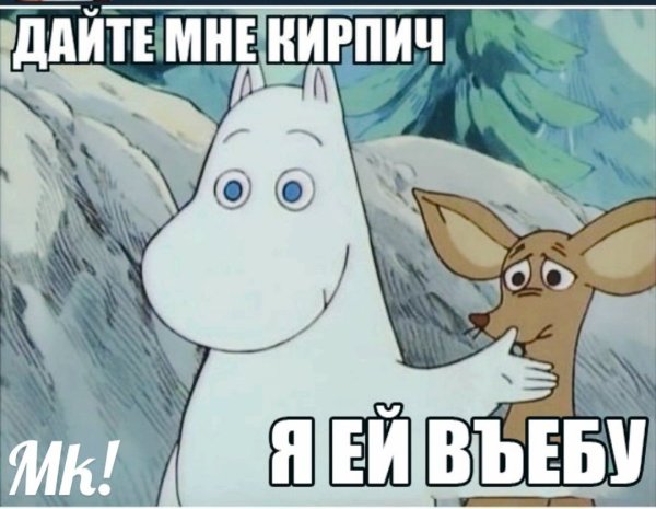 Дайте мне кирпич я ей вебу