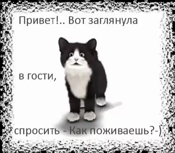 Привет как поживаешь