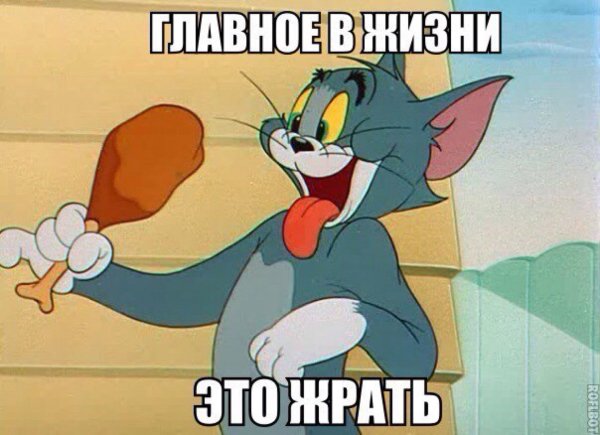 Том и Джерри прикольные картинки
