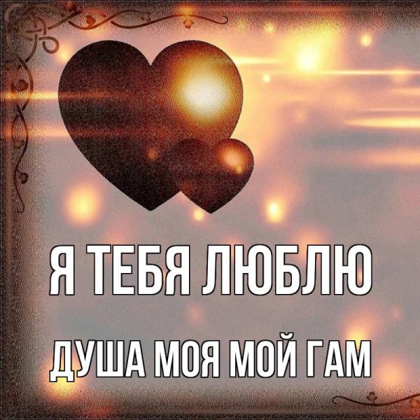 Я люблю тебя солнышко мое