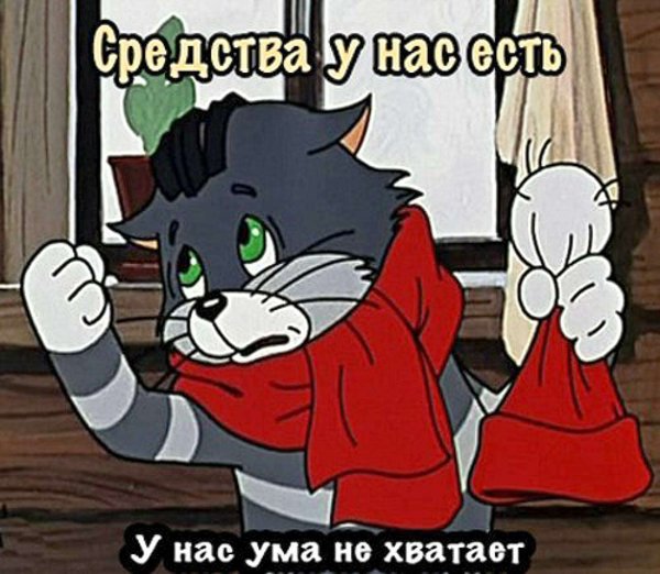 У нас ума не хватает Матроскин