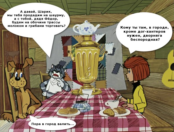 Шарик ты балбес
