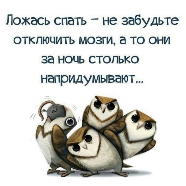 Цитаты про ночь смешные