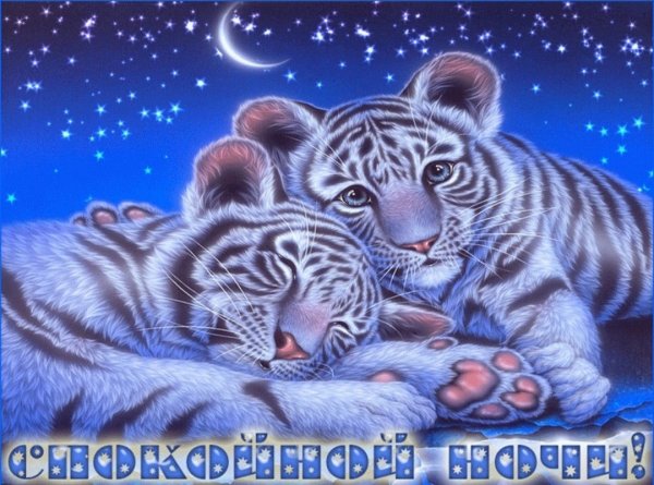 Пожелания спокойной ночи любимой