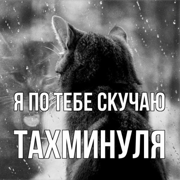 Я скучаю по тебе