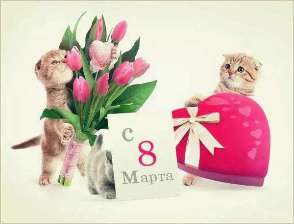 Поздравление с 8 марта в стихах
