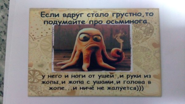 Шутка про осьминога