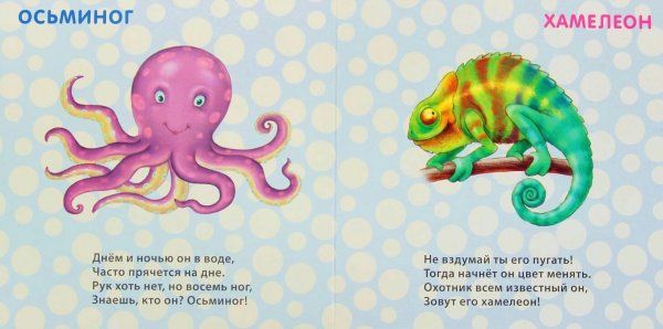 Стих про осьминога для детей