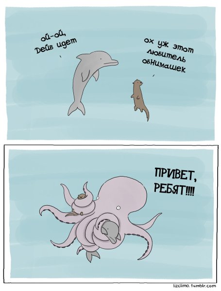 Обнимашки прикол