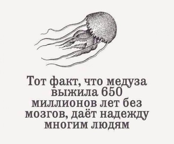 Тот факт что медуза выжила 650