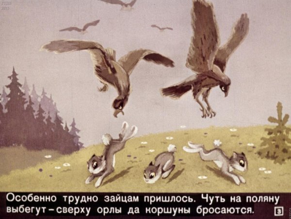 Откуда у зайца длинные уши