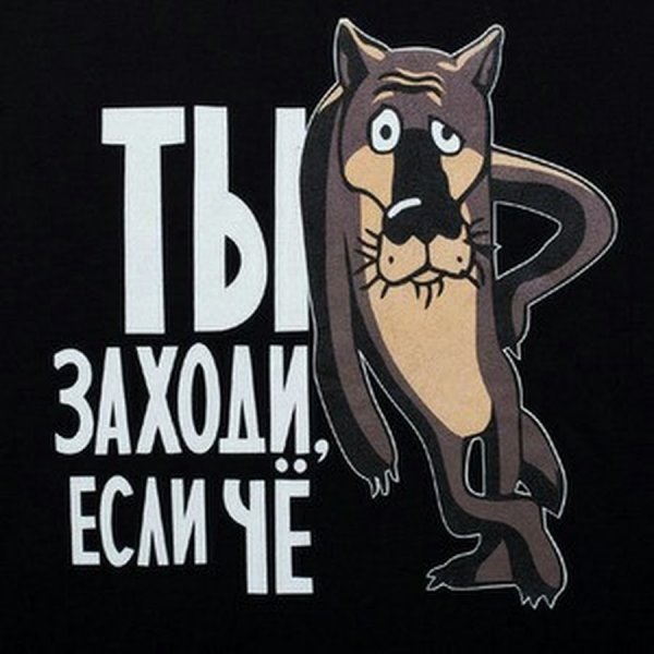 Волк заходи если что