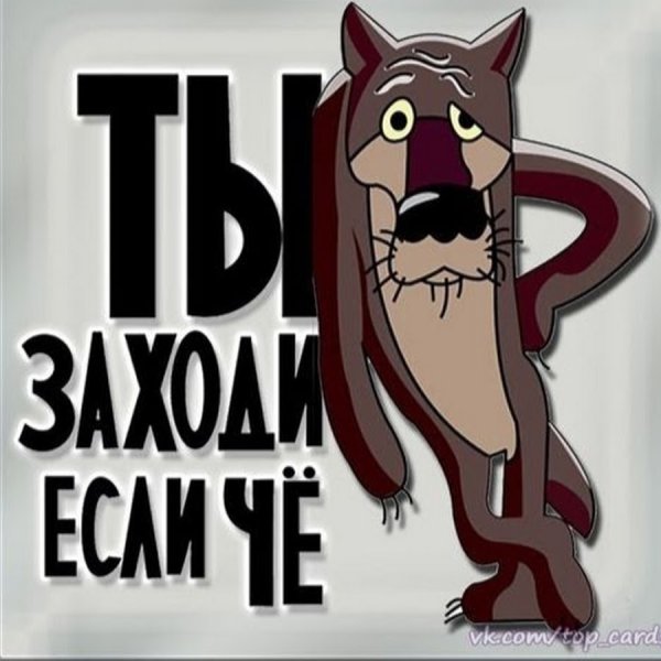 Волк заходи если че