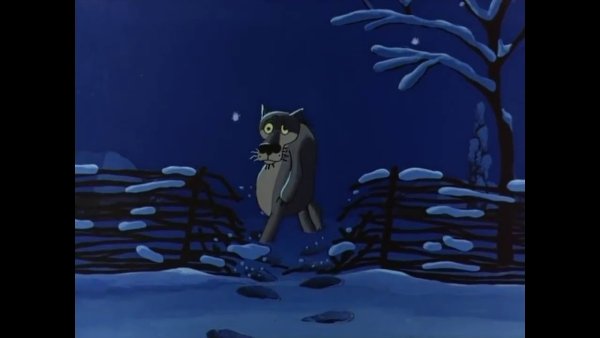 Шо опять волк