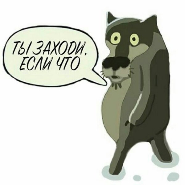 Волк заходи если что