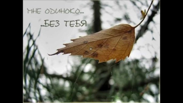 Одиноко без тебя любимый