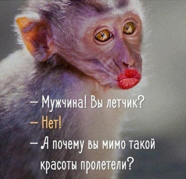 Смешные цитаты