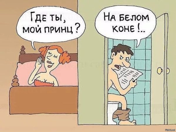Принц на белом коне прикол