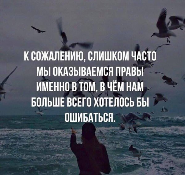 Сожаление цитаты