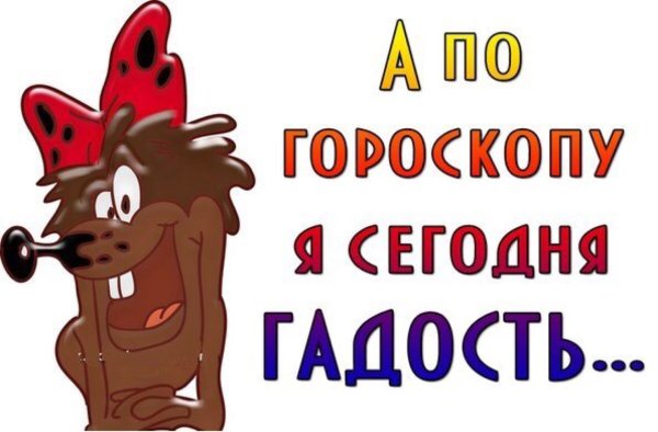 Дюдюка приколы