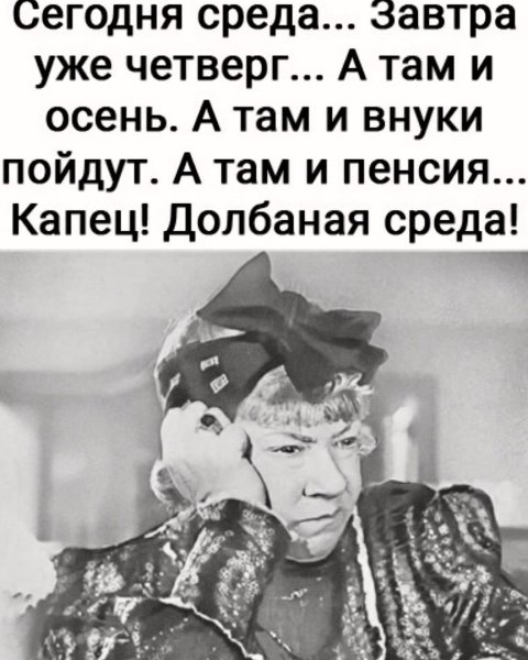 Птица Мем