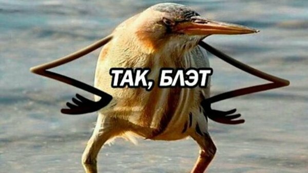 Мемы комиксы про Печкина