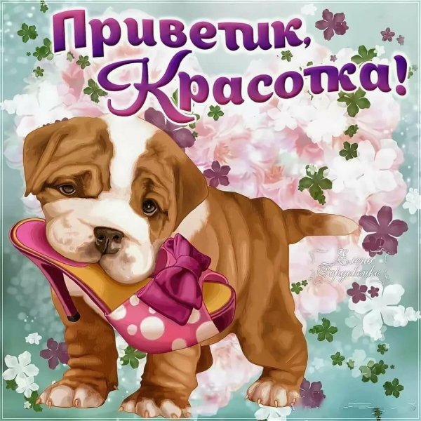 Осенний приветик