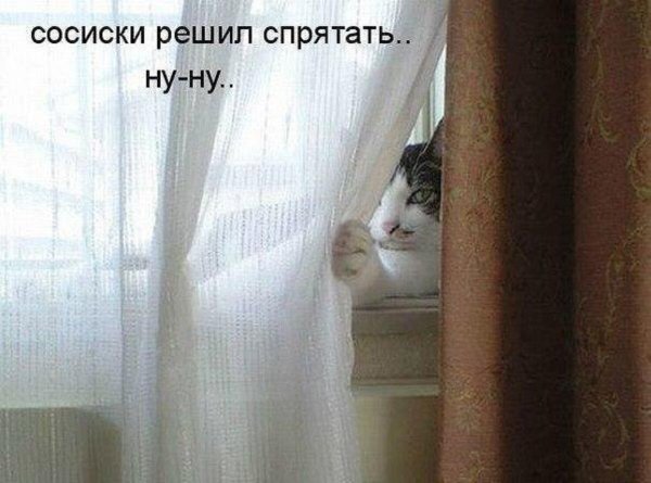 И эти люди запрещают