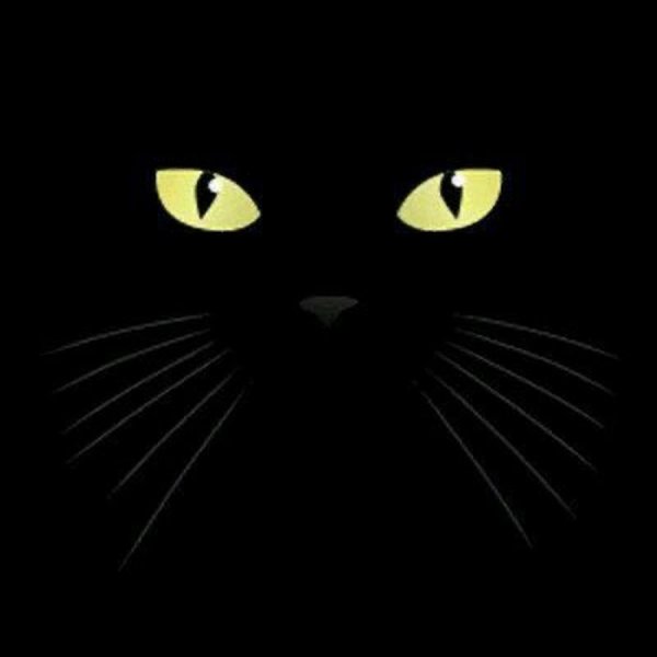 Прикольные анимашки с надписями