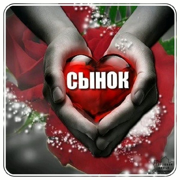 Любимому сыну