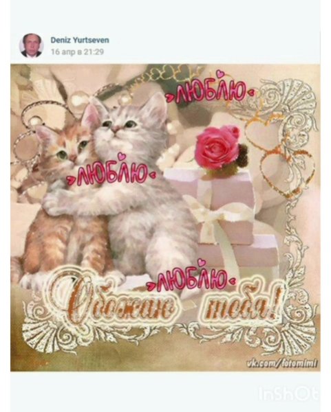 Доброе утро котенок мой