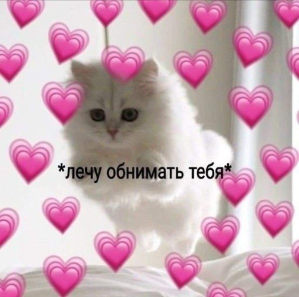Кошка с сердечком