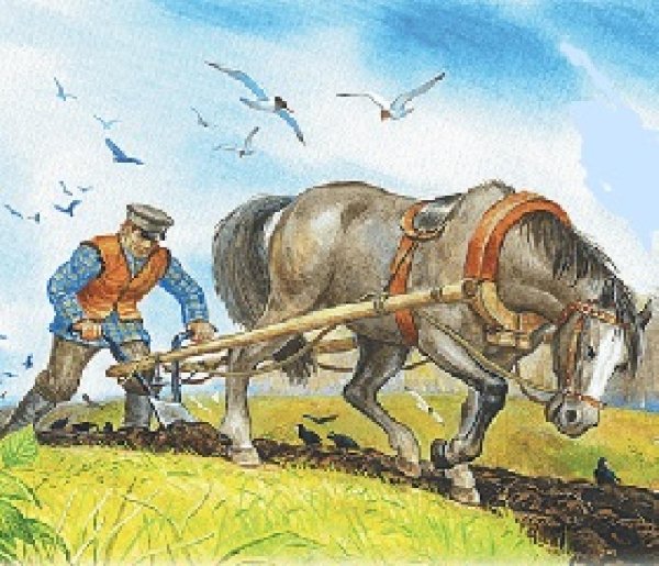 Пахарь на Руси Соха и плуг