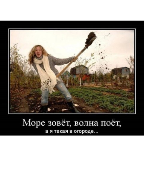 Шутки про огород