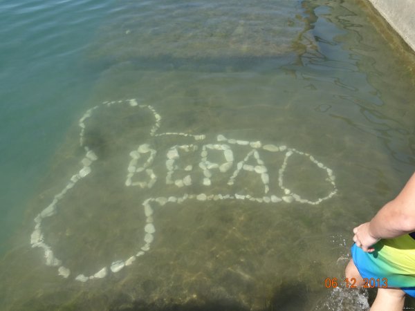 Смешные картинки про Верку