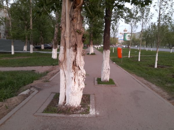 Нет власти