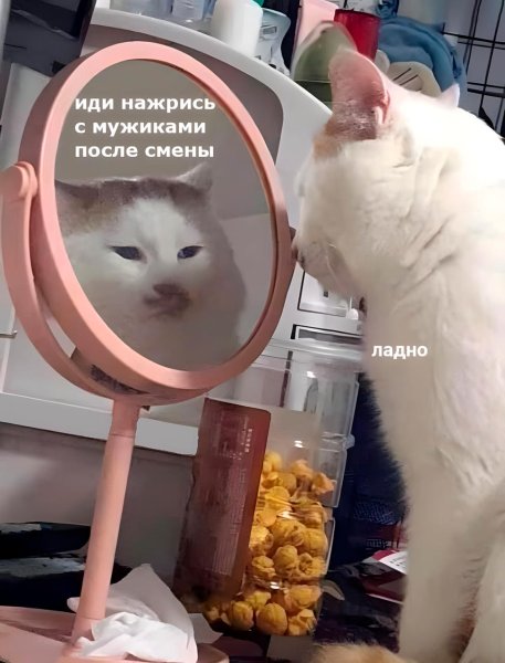 Я тебя люблю на асфальте