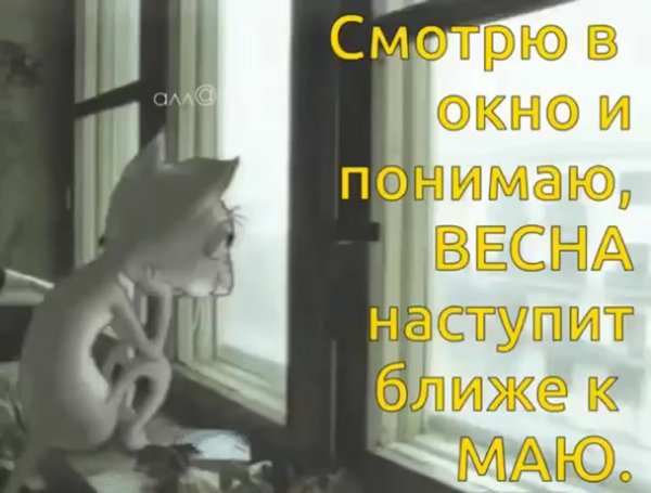 Смотрю в окно и понимаю Весна наступит