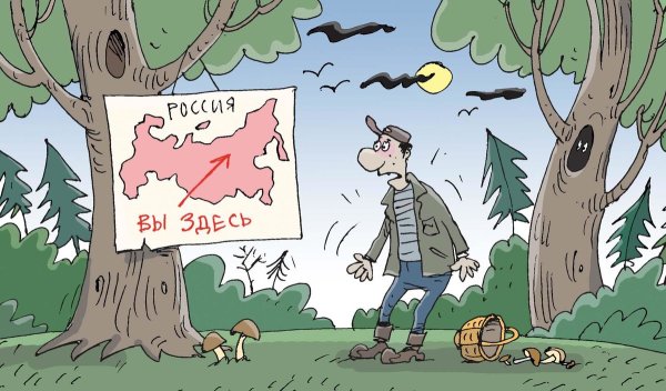Грибник карикатура