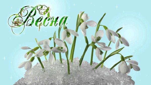 Весна пришла
