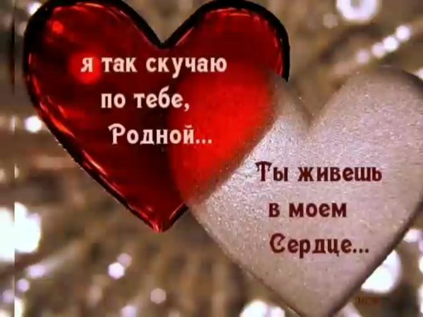Люблю тебя мой родной