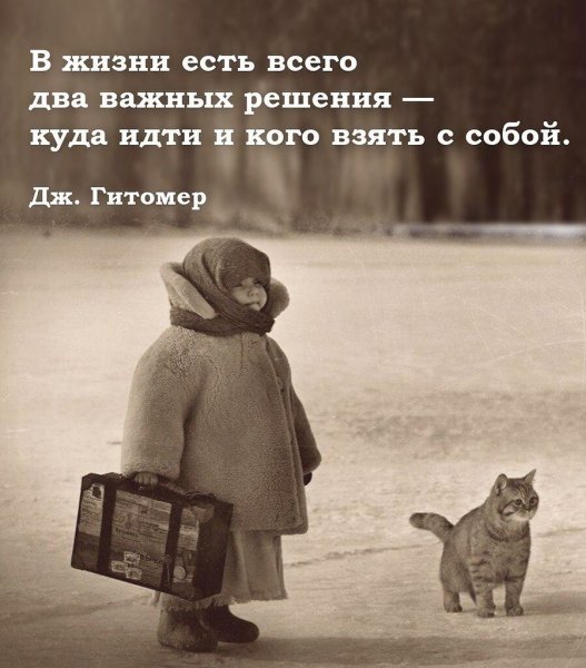 И пусть тебя полюбит лошадь злая